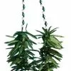 Forum Novelties Green Leaf Beads Costume Necklace One Size -Footwear Shop FRM 69725 CA