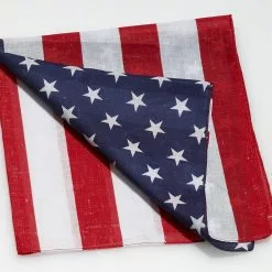 Forum Novelties Patriotic Costume Bandana