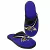 Forever Collectibles Baltimore Ravens 2013 Big Logo Slide Slipper Adult -Footwear Shop FVC 05577 CA