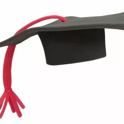 Funky Fresh Grad Cap Adult Foam Costume Hat - One Size