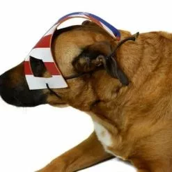 NECA KickAss 2 Eisenhower's Dog Costume Mask -Footwear Shop NEC 12079 CC