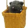 Rubies The Wizard Of Oz Toto In The Basket Costume Accessory -Footwear Shop RUB 511 CA