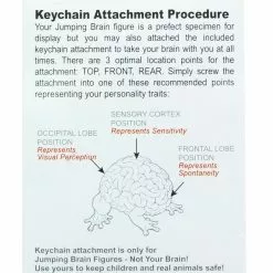 Toy2R Jumping Brain Series 2" Figure With Keychain Single Random Figure -Footwear Shop T2R 41333 CC