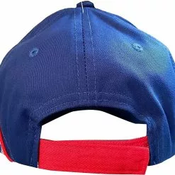 USPA Accessories LLC Sonic The Hedgehog Team Racing Adjustable Snapback Hat | One Size -Footwear Shop USP 74329 CC 244c0ebc 028b 4f7f b8c4 dbc256351094